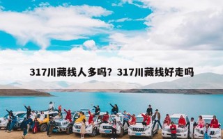 317川藏线人多吗？317川藏线好走吗