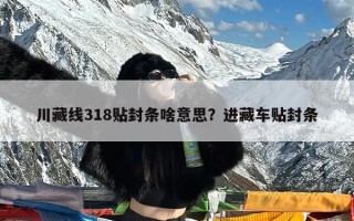 川藏线318贴封条啥意思？进藏车贴封条