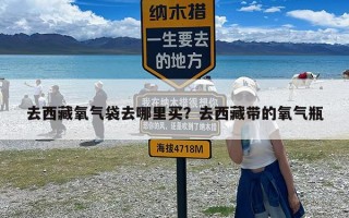 去西藏氧气袋去哪里买？去西藏带的氧气瓶