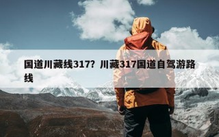 国道川藏线317？川藏317国道自驾游路线