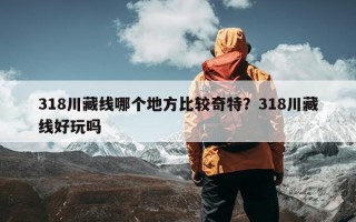 318川藏线哪个地方比较奇特？318川藏线好玩吗