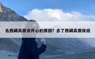 去西藏高原会开心的原因？去了西藏高原反应