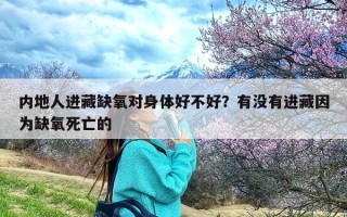 内地人进藏缺氧对身体好不好？有没有进藏因为缺氧死亡的