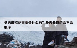 冬天去拉萨需要备什么药？冬天去拉萨会不会很冷