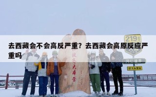 去西藏会不会高反严重？去西藏会高原反应严重吗