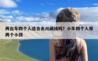 两台车四个人适合去川藏线吗？小车四个人带两个小孩