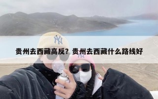 贵州去西藏高反？贵州去西藏什么路线好