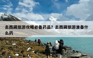 去西藏旅游攻略必备药品？去西藏旅游准备什么药