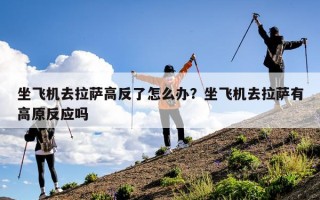 坐飞机去拉萨高反了怎么办？坐飞机去拉萨有高原反应吗