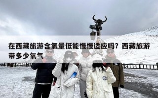 在西藏旅游含氧量低能慢慢适应吗？西藏旅游带多少氧气