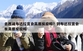 去西藏布达拉宫会高原反应吗？到布达拉宫会有高原反应吗