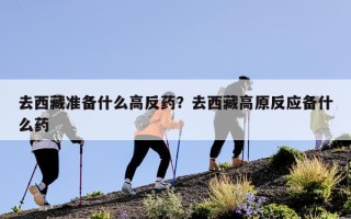 去西藏准备什么高反药？去西藏高原反应备什么药