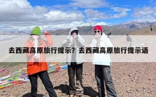 去西藏高原旅行提示？去西藏高原旅行提示语