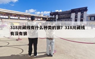 318川藏线有什么种类的狼？318川藏线有没有狼