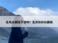 五月川藏线下雪吗？五月份的川藏线