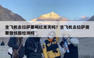 坐飞机去拉萨要喝红景天吗？坐飞机去拉萨需要做核酸检测吗