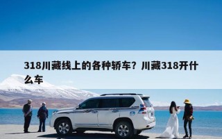 318川藏线上的各种轿车？川藏318开什么车