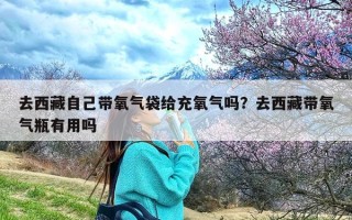 去西藏自己带氧气袋给充氧气吗？去西藏带氧气瓶有用吗