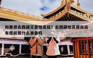 如果想去西藏又害怕高反？去西藏怕高原反应有提前做什么准备吗