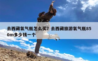 去西藏氧气瓶怎么买？去西藏旅游氧气瓶850m多少钱一个