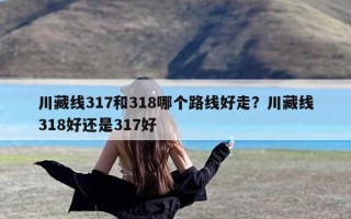 川藏线317和318哪个路线好走？川藏线318好还是317好