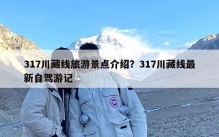 317川藏线旅游景点介绍？317川藏线最新自驾游记