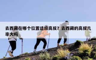 去西藏在哪个位置适应高反？去西藏的高反几率大吗