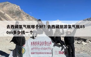 去西藏氧气瓶哪个好？去西藏旅游氧气瓶850m多少钱一个