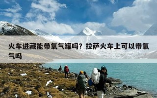 火车进藏能带氧气罐吗？拉萨火车上可以带氧气吗