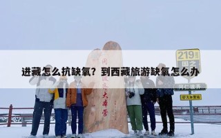 进藏怎么抗缺氧？到西藏旅游缺氧怎么办