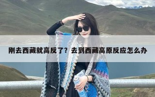 刚去西藏就高反了？去到西藏高原反应怎么办