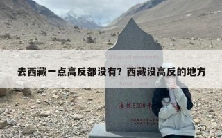 去西藏一点高反都没有？西藏没高反的地方