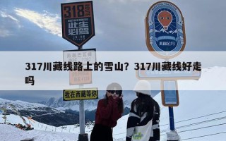 317川藏线路上的雪山？317川藏线好走吗