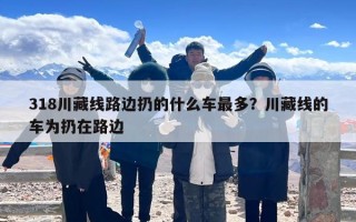 318川藏线路边扔的什么车最多？川藏线的车为扔在路边