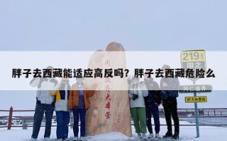 胖子去西藏能适应高反吗？胖子去西藏危险么