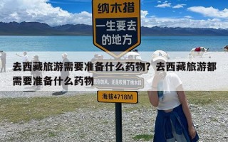 去西藏旅游需要准备什么药物？去西藏旅游都需要准备什么药物