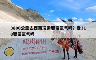 3800公里去西藏玩需要带氧气吗？走318要带氧气吗