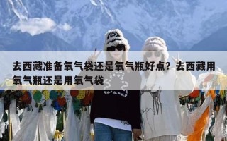 去西藏准备氧气袋还是氧气瓶好点？去西藏用氧气瓶还是用氧气袋