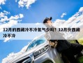 12月的西藏冷不冷氧气少吗？12月份西藏冷不冷