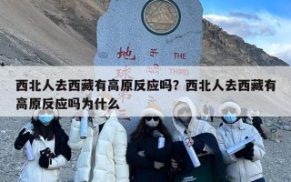 西北人去西藏有高原反应吗？西北人去西藏有高原反应吗为什么