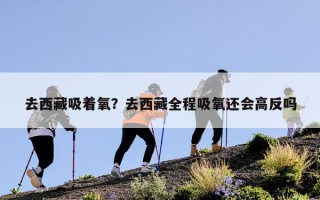 去西藏吸着氧？去西藏全程吸氧还会高反吗