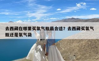 去西藏在哪里买氧气瓶最合适？去西藏买氧气瓶还是氧气袋