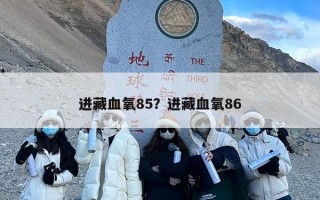 进藏血氧85？进藏血氧86