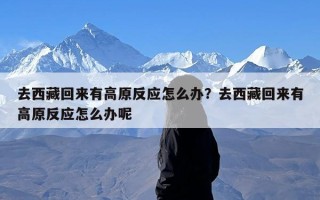 去西藏回来有高原反应怎么办？去西藏回来有高原反应怎么办呢