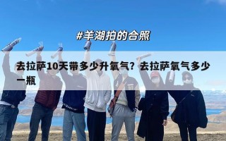 去拉萨10天带多少升氧气？去拉萨氧气多少一瓶