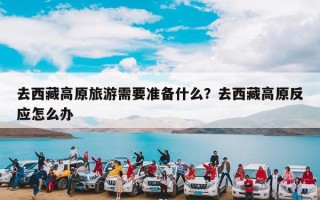 去西藏高原旅游需要准备什么？去西藏高原反应怎么办